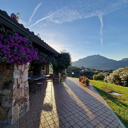 Villa Stazzu Sa Murta كوغنانا المظهر الخارجي الصورة